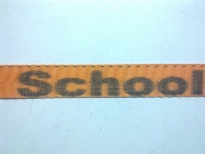 Printed and Standard Tie Down Straps for Rowing and all uses with buckle protection and Printing